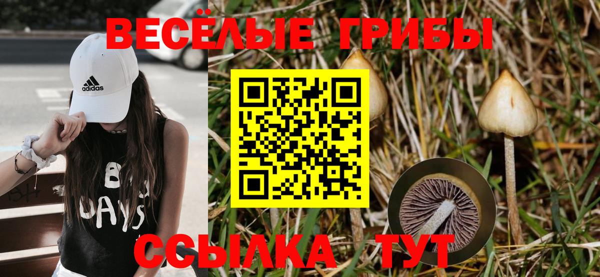 Псилоцибиновые грибы мухоморы Тара
